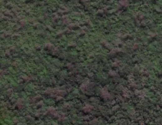 'Art Market' EPL.  Jump Center EPL's