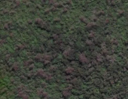 'Jewel Market' EPL.  Jump Center EPL's