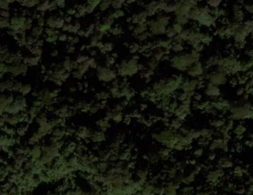 'Hordes Market' EPL.  Jump Center EPL's