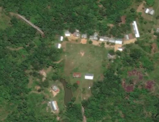 Amazon Rainforest, Punchana, Peru.  Jump Center EPL's