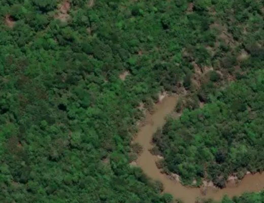 Amazon Rainforest, Peru.  Jump Center EPL's