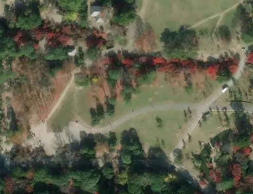 Nara Park, Japan. Jump Center EPL's