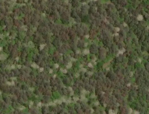 Karuizawa 軽井沢町, Kitasaku District 北佐久郡, Nagano, Japan -- isekai-world