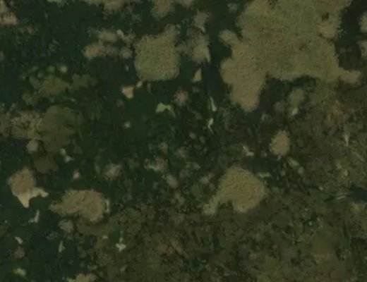 'Fashion Market' EPL.  Jump Center EPL's