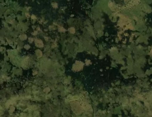 'Tool Market' EPL.  Jump Center EPL's