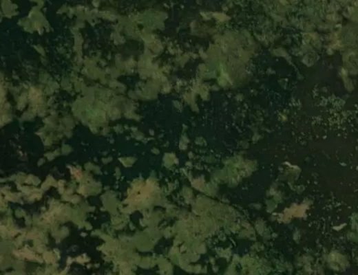 'Holiday Market' EPL.  Jump Center EPL's