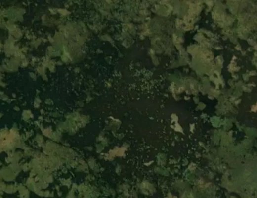 'Farming Market' EPL.  Jump Center EPL's