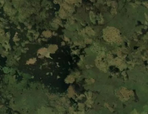 'Gardening Market' EPL.  Jump Center EPL's