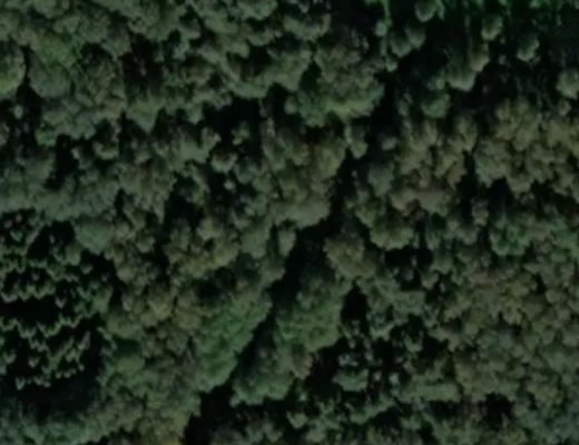 'Fruit Market' EPL.  Jump Center EPL's