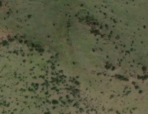 Serengeti National Park, Tanzania. Jump Center EPL's     lumi