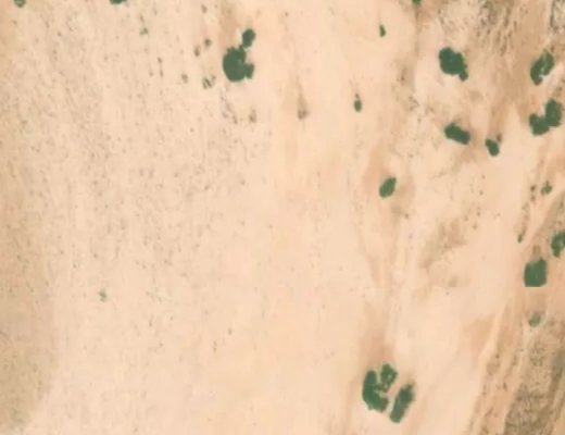 Socotra, Yemen, Dragon Blood Sap,  Jump Center EPL's