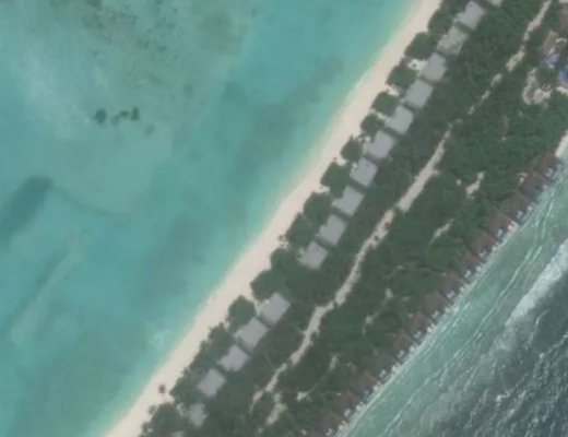 'Visit Animal Market' EPL.  Jump Center EPL's